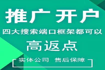 案例解析：专业竞价推广代运营团队实操